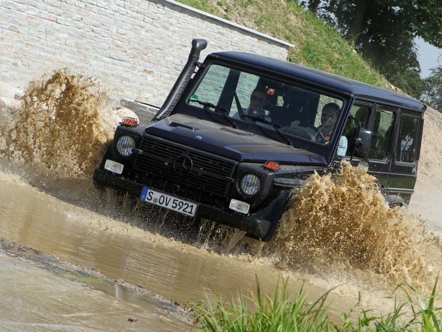  Mercedes-Benz G300 CDI Professional 2010 года  (фото 17 из 35)